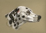 by Jennifer Redstreake