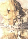 by Melissa Hudson