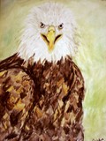 by debbie braswell
