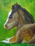 by donald penwell