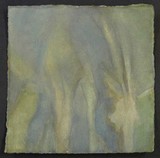 by Robyn Ryan