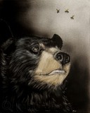 by Heather Ward