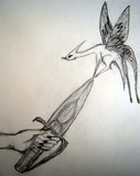 by Amanda DeMaio