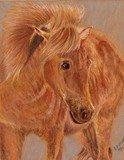 by Deborah L. Duffield