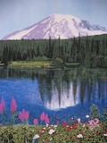 by cynthia yancey