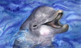 by Diane Sleger