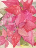 by Carol Lincker