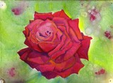 by Gwen Lewis
