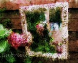 by Gabrielle Marie