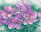 by Amy Turner