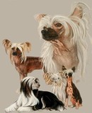 by Barbara Keith