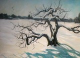 by Scott Niemi