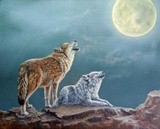 by Sue Johnson