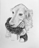 by Ann Nystrom Cottone