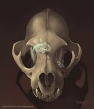by Tiina Purin