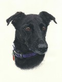 by Wendy Poulton