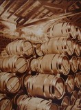 by Juan Carlos Gonzalez