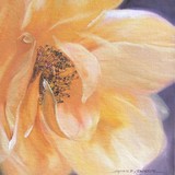 by Susan Kennedy
