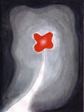 by S Cole