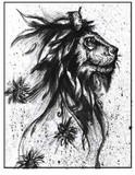 by Drew De Porter