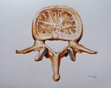 by Ferran Serra Ferrer