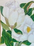 by jennifer kirton