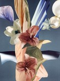 by Collage Art