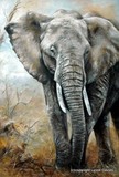 by Lynne Davies