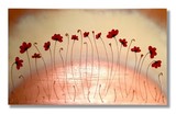 by Tracy Jolly