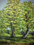 by Candace Antonelli