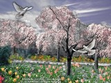 by Lorinne Pippen