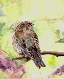 by Cindy Swinehart