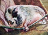 by Joan  Wulff
