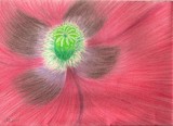 by Emily O'Keeffe