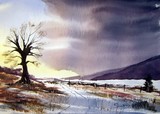 by Steven Cronin