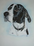 by Sharon Jarvis