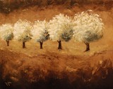 by Debra Houston