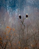 by Steven Swanson