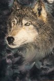 by tracy rice
