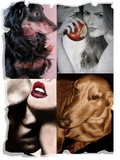 by Alena Yevtushenko