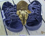 by Donald Heinz