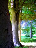 by gabriele 