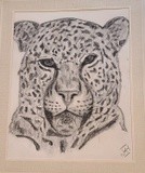 by Joanie Holliday