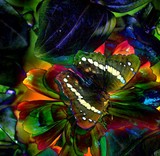 by stephanie hughes