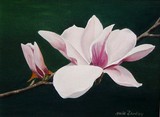 by Marie Dunkley