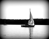 by Naturevine Photography