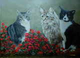 by Chris J W Gregg