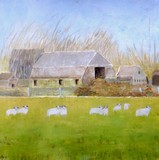 by Anna Beveridge