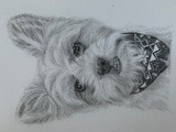 by Stacey Makar
