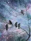 by Asheley Kapelewski